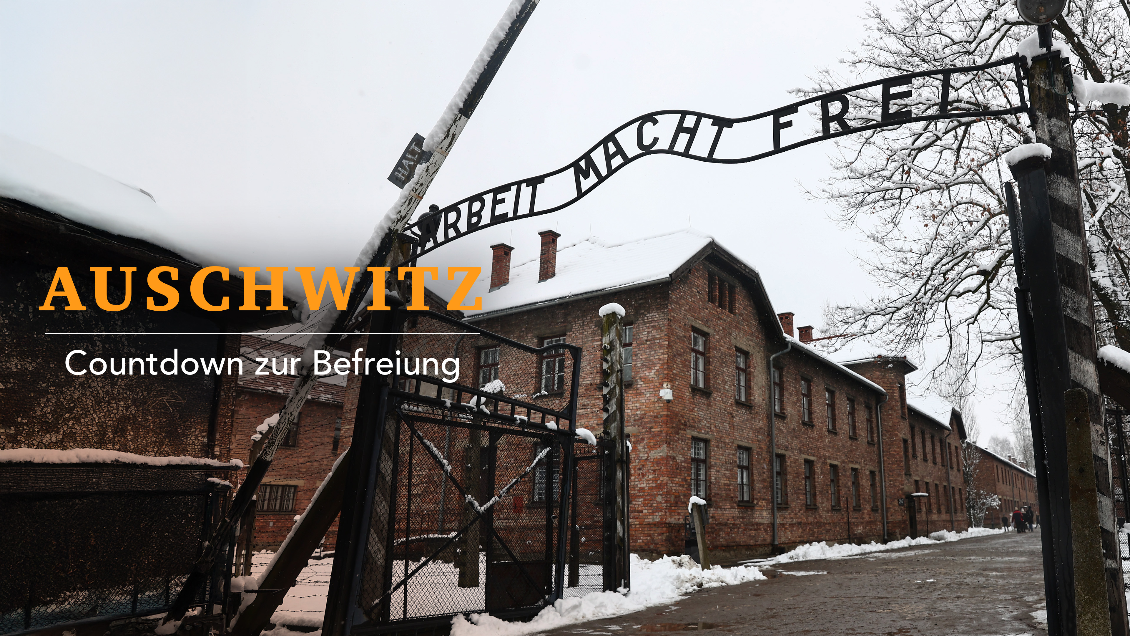 Auschwitz - Countdown zur Befreiung